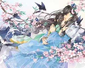 猫咪影视官网